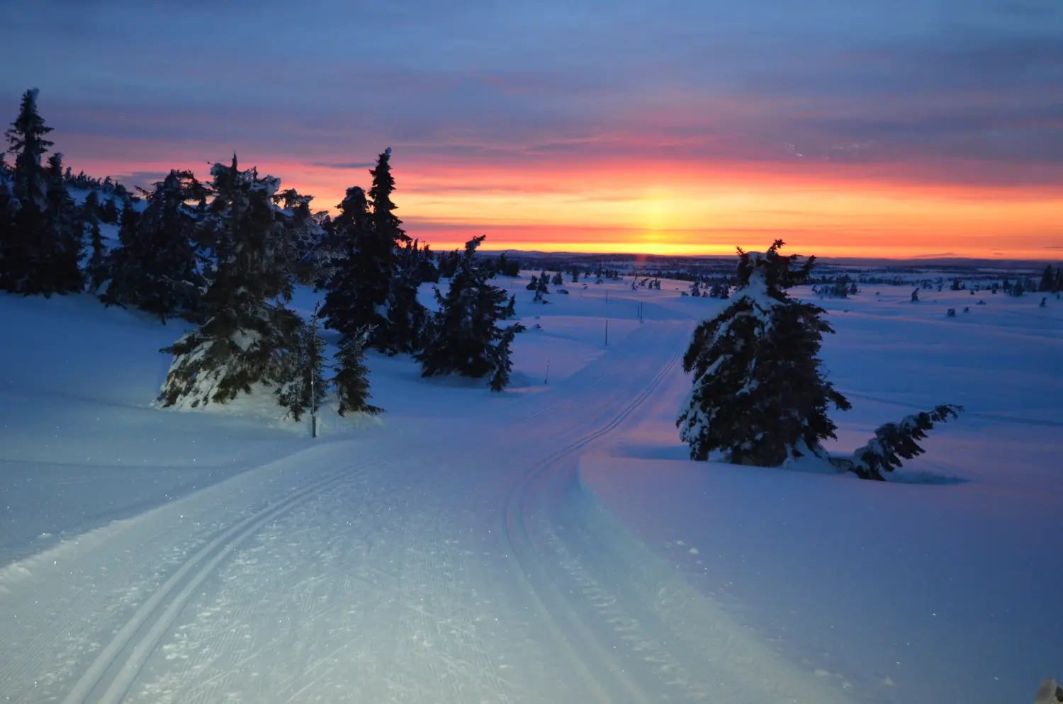 Ferienhaus in Sjusjøen bei Lillehammer im Sommer